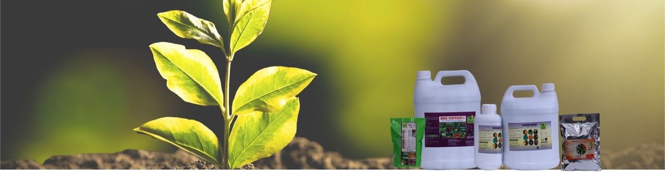 Biocusess B2Agri GRAND: Biotechnology based Liquid Soil & Crop Nutrients - just 5 lit will replace 15 tons of Cow dung or Poultry manure or 5 tons of Vermicompost