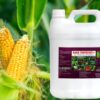 Nano Yenpeekay : Nano Technology Organic Liquid NPK for Fertigation, Spray & Root feeding.